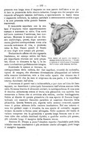 giornale/PUV0109343/1902/unico/00000199