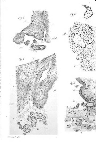 Annali di ostetricia e ginecologia