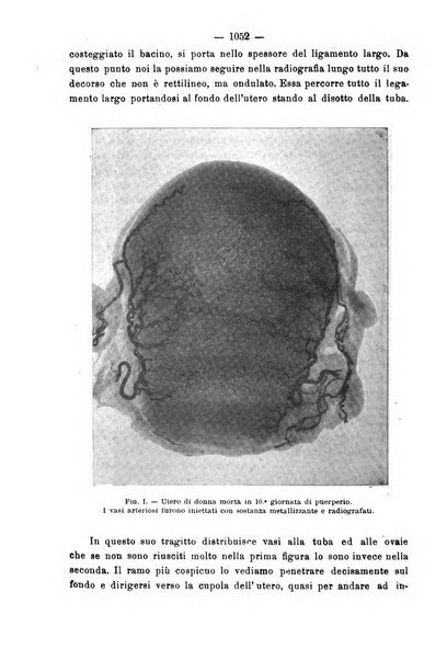 Annali di ostetricia e ginecologia