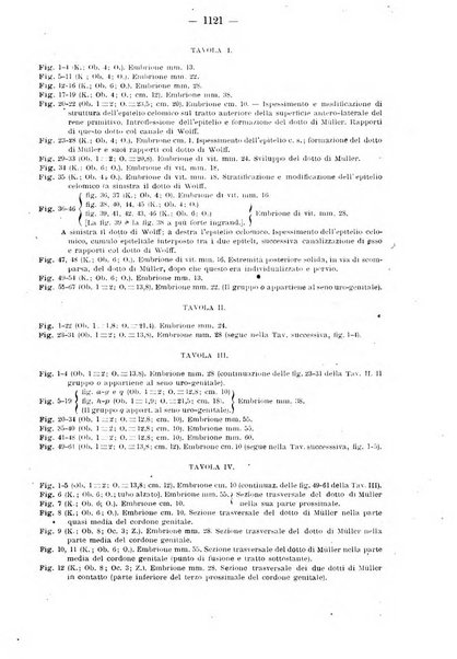 Annali di ostetricia e ginecologia