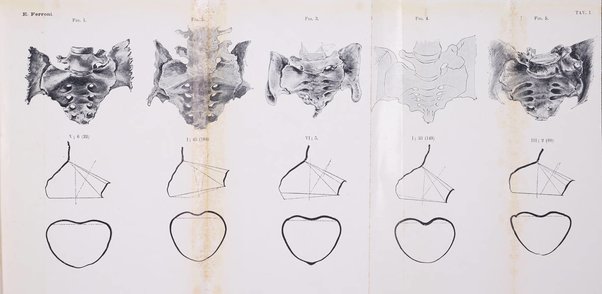 Annali di ostetricia e ginecologia