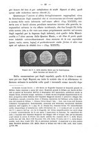 giornale/PUV0109343/1904/unico/00000081