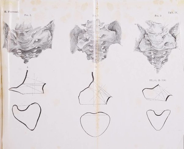 Annali di ostetricia e ginecologia