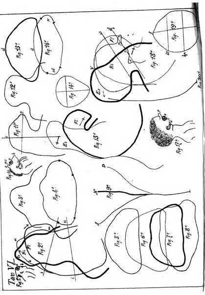 Annali di ostetricia e ginecologia