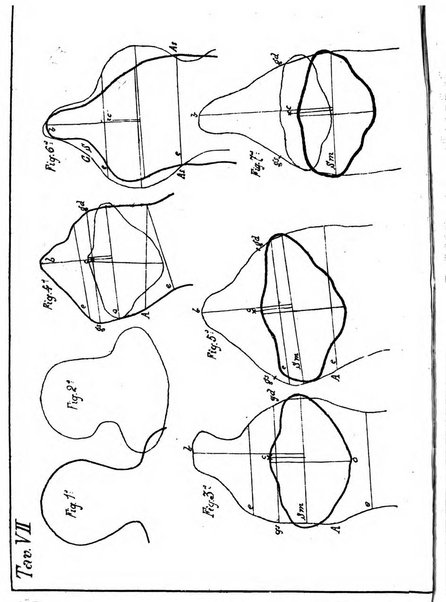 Annali di ostetricia e ginecologia