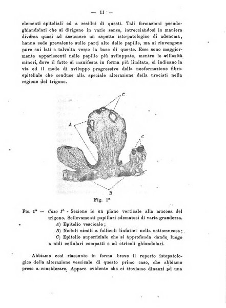 Annali di ostetricia e ginecologia