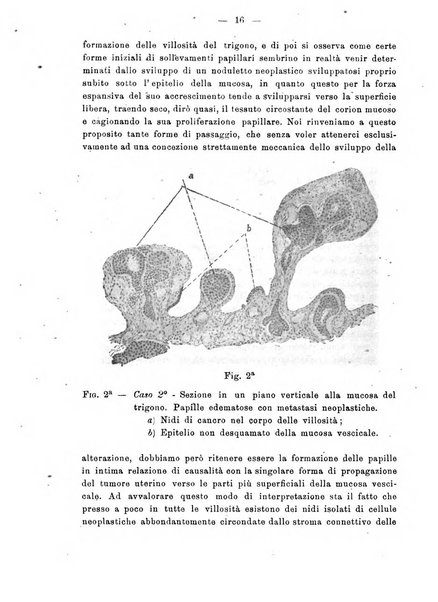 Annali di ostetricia e ginecologia