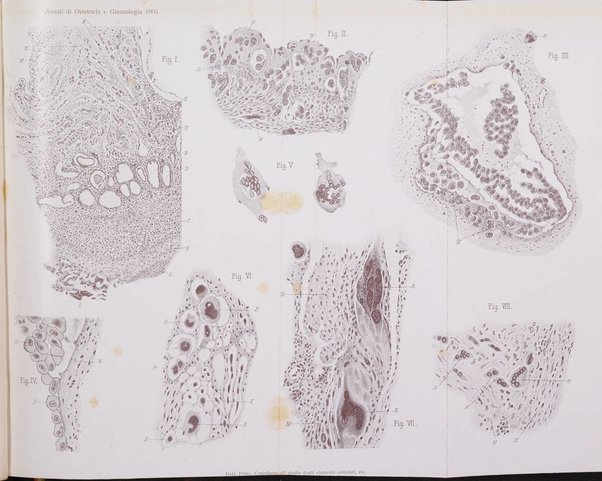 Annali di ostetricia e ginecologia