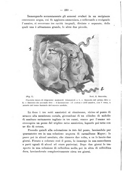 Annali di ostetricia e ginecologia