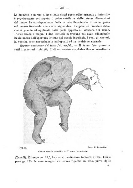 Annali di ostetricia e ginecologia