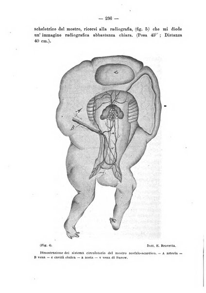 Annali di ostetricia e ginecologia