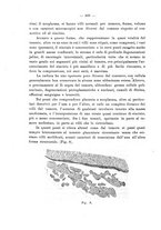 giornale/PUV0109343/1905/V.27.1/00000500