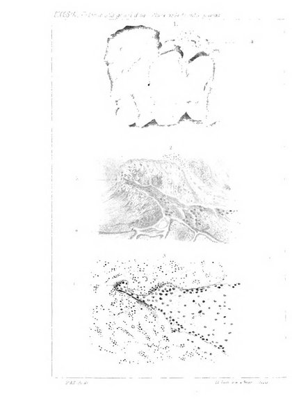 Annali di ostetricia e ginecologia