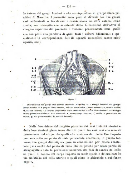 Annali di ostetricia e ginecologia