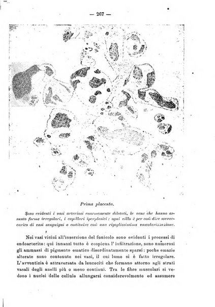 Annali di ostetricia e ginecologia