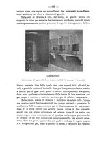 giornale/PUV0109343/1907/V.29.2/00000294