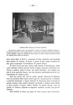 giornale/PUV0109343/1907/V.29.2/00000295