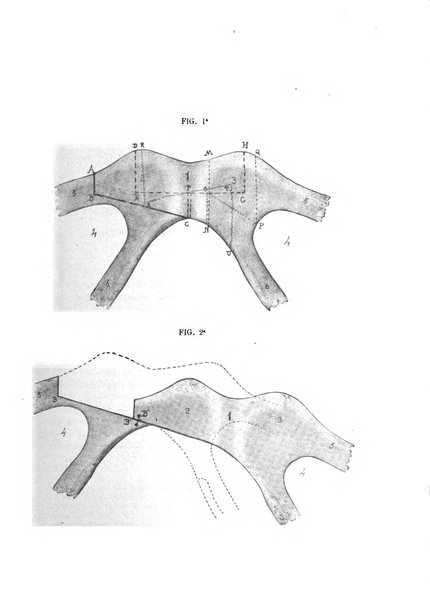 Annali di ostetricia e ginecologia