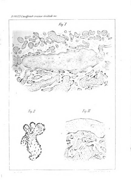 Annali di ostetricia e ginecologia