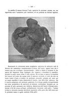 giornale/PUV0109343/1908/V.30.1/00000207