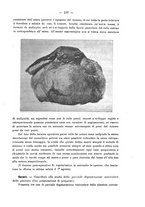 giornale/PUV0109343/1908/V.30.1/00000209