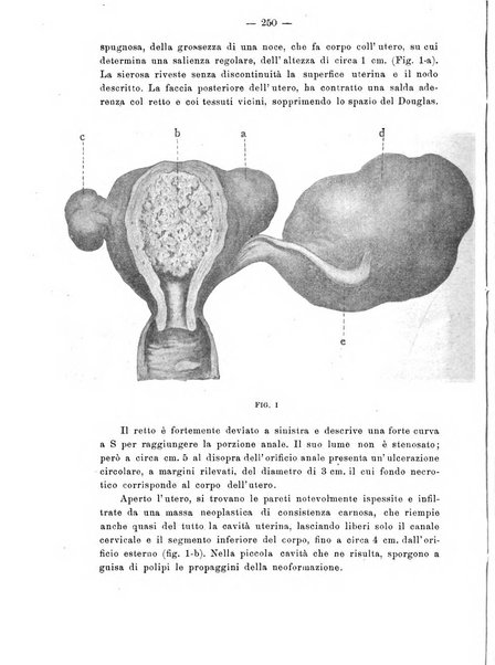 Annali di ostetricia e ginecologia