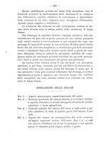 giornale/PUV0109343/1908/V.30.2/00000272