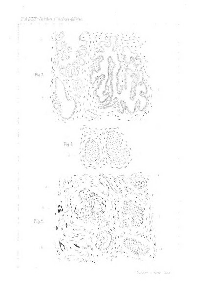 Annali di ostetricia e ginecologia