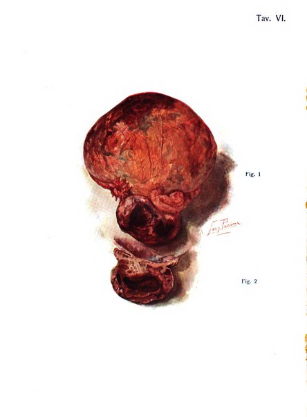 Annali di ostetricia e ginecologia