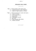 giornale/PUV0109343/1909/V.31.2/00000326