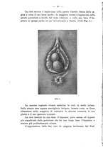 giornale/PUV0109343/1910/V.32.1/00000022