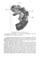 giornale/PUV0109343/1910/V.32.1/00000057