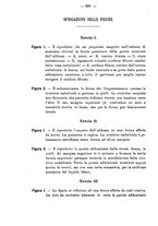 giornale/PUV0109343/1911/V.33.1/00000366