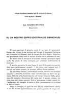 giornale/PUV0109343/1914/V.36.1/00000055