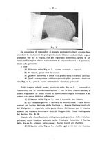 giornale/PUV0109343/1915/V.37.2/00000088