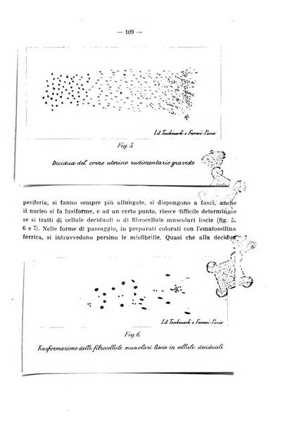 Annali di ostetricia e ginecologia