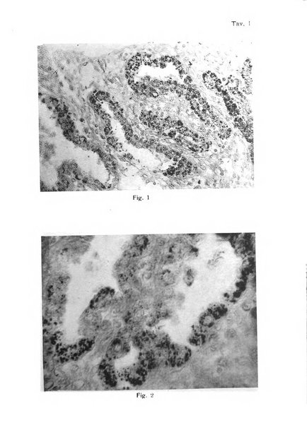 Annali di ostetricia e ginecologia