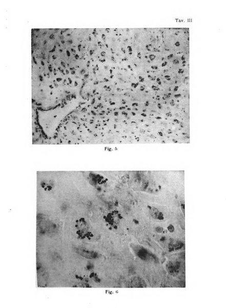 Annali di ostetricia e ginecologia