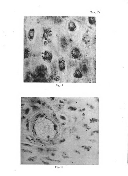 Annali di ostetricia e ginecologia