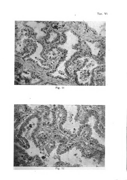 Annali di ostetricia e ginecologia