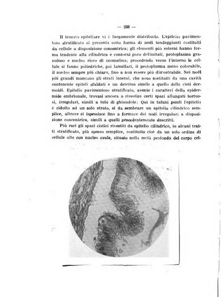 Annali di ostetricia e ginecologia