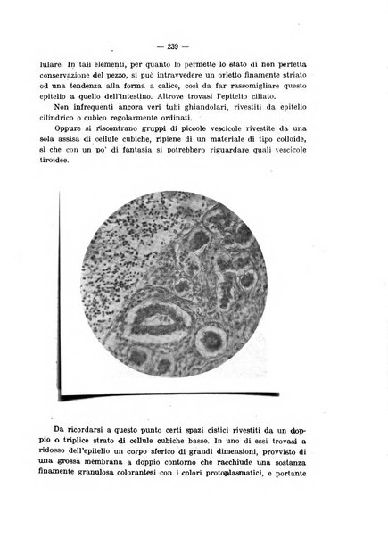 Annali di ostetricia e ginecologia