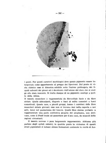 Annali di ostetricia e ginecologia