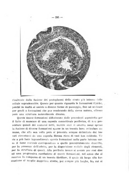 Annali di ostetricia e ginecologia