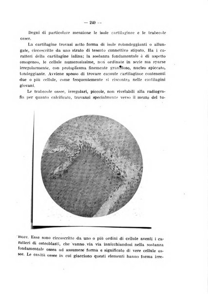 Annali di ostetricia e ginecologia