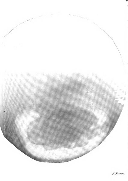 Annali di ostetricia e ginecologia