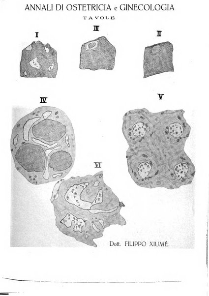 Annali di ostetricia e ginecologia