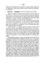 giornale/PUV0109343/1919/unico/00000138