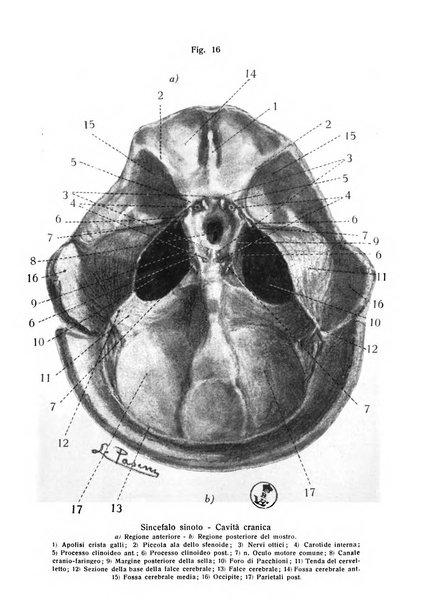 Annali di ostetricia e ginecologia