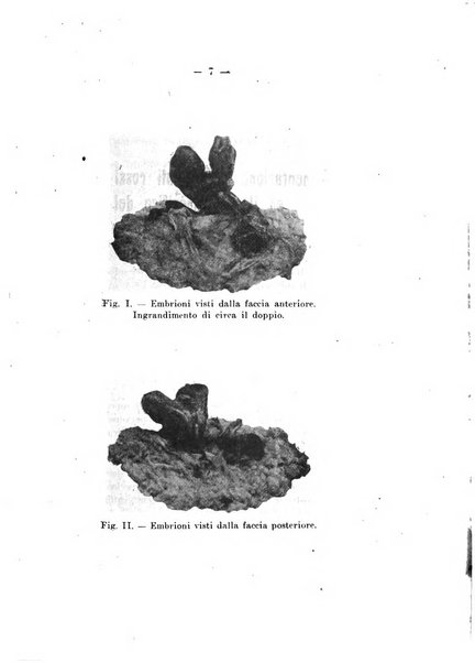 Annali di ostetricia e ginecologia